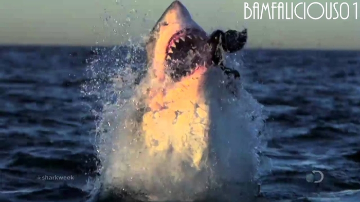 Show Me Your Teeth!!