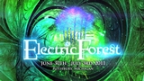Electric Forest - 2011 Video Thumbnail